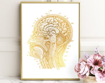 Greys Anatomy Gifts for Doctor - Gold Foil Print, Neuroscience Brain Art - Science Art, Science Poster, Brain Print - Gift for Doctor Office