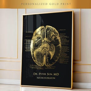 Op de afbeelding: Een gouden foliedruk van een menselijk brein met anatomische labels op een zwarte achtergrond. De print bevat de tekst "Dr. Peter Sun, MD, Neurochirurg".