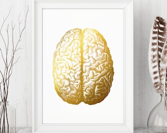 Brain Art Gold Foil Print - Anatomical Brain Art, Anatomy Art, Human Brain Print Anatomical Poster, Anatomy Wall Art, Anatomy Brain Poster