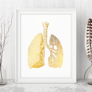 Goldfolie Druck Lunge - Anatomie Kunst - Lunge Doktor Geschenk - Pulmologen Geschenk für Atemwegstherapeutin - Gerahmtes Arztzimmer Dekor