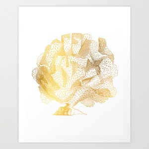 May include: A gold-toned illustration of a coral branch with a detailed, intricate design. The coral is depicted in a fan-like shape with many branches and small, round details.
