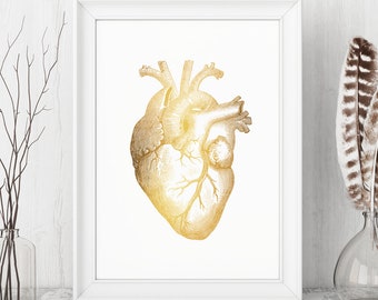Gold Foil Anatomical Heart Art Print: Medical Office Decor