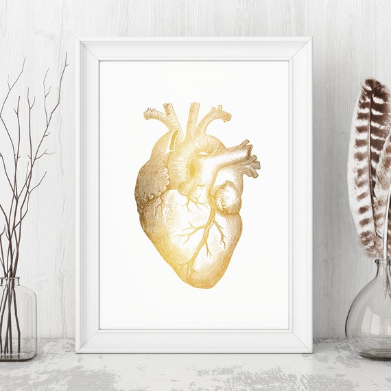 Gold Foil Anatomical Heart Art Print: Medical Office Decor - Etsy