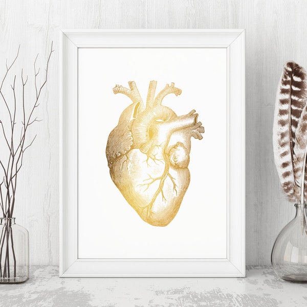 Gold Foil Heart Anatomical Art - Human Heart Poster - Gold Wall Decor - REAL GOLD FOIL - Medical Print, Office Wall Decor, Doctor Gifts