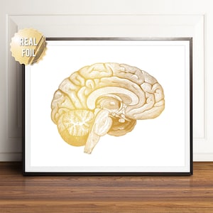 Gold Foil Brain Anatomy Print: Neuroscience Art Decor