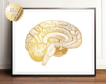 Neurology Office Decor - Etsy