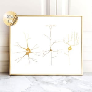 Goldfolie Neuron Kunstdruck: Neurowissenschaftliches Geschenk, Gehirn Illustration