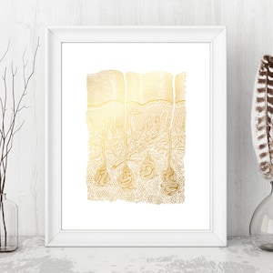 Gold Foil Skin Anatomy Art Print: Dermatologist Gift