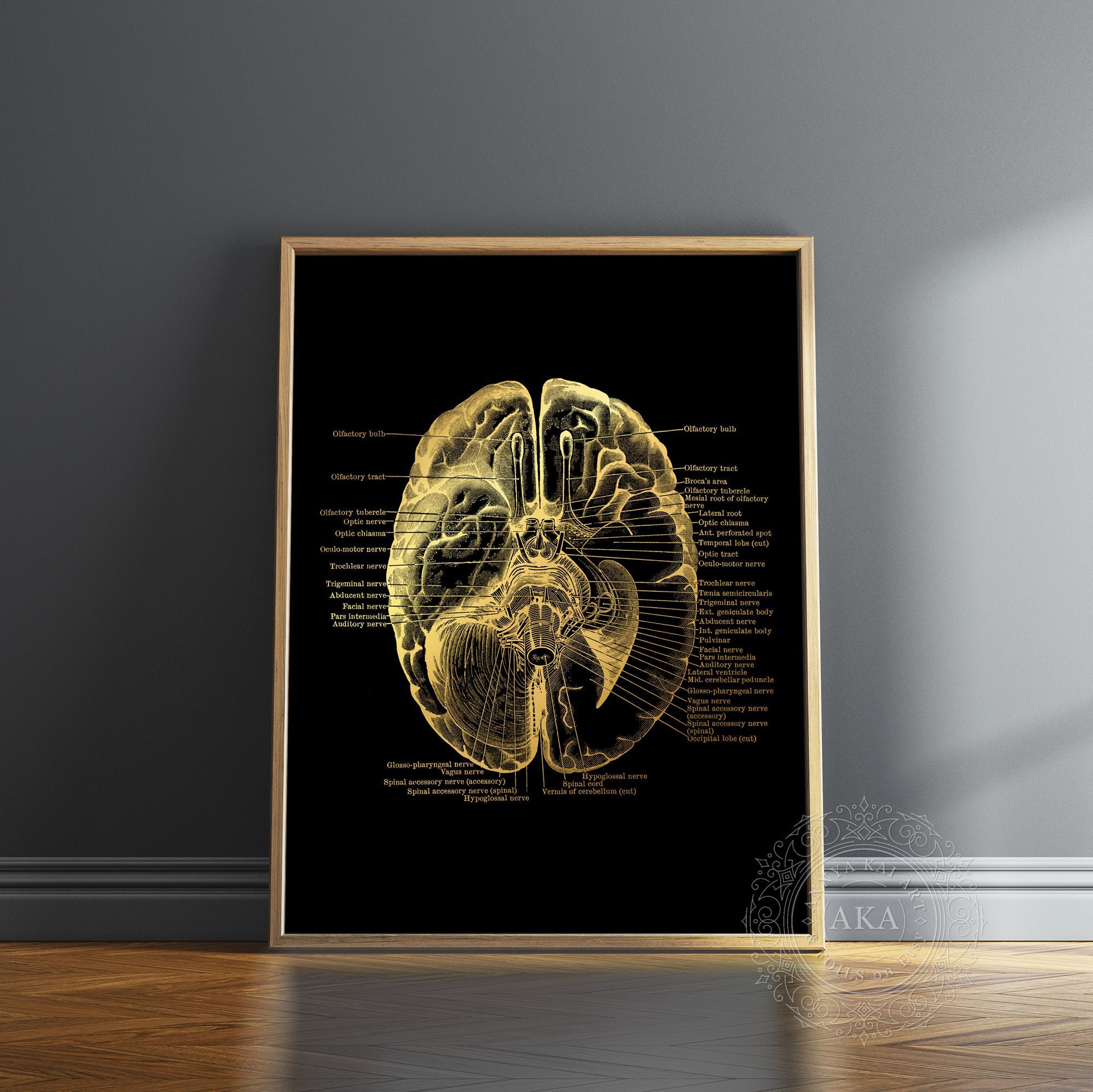 Gold Foil Brain Anatomy Print: Medical Art, Framed Option