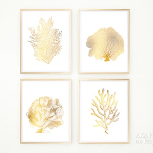 May include: Set of four gold foil prints featuring different types of coral. The prints are framed in gold and have a white background.
