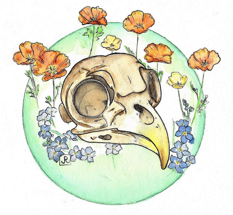 Owl and Poppies Sticker