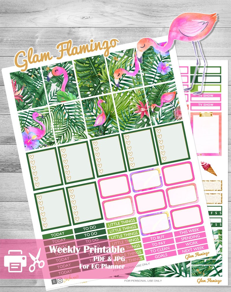 Printable Planner Stickers Flamingo Stickers Use With Erin - Etsy
