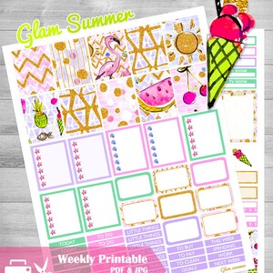 Printable weekly kit planner stickers, flamingo sticker kit use with Erin Condren ice cream Summer kit Pineapple fruit stickers