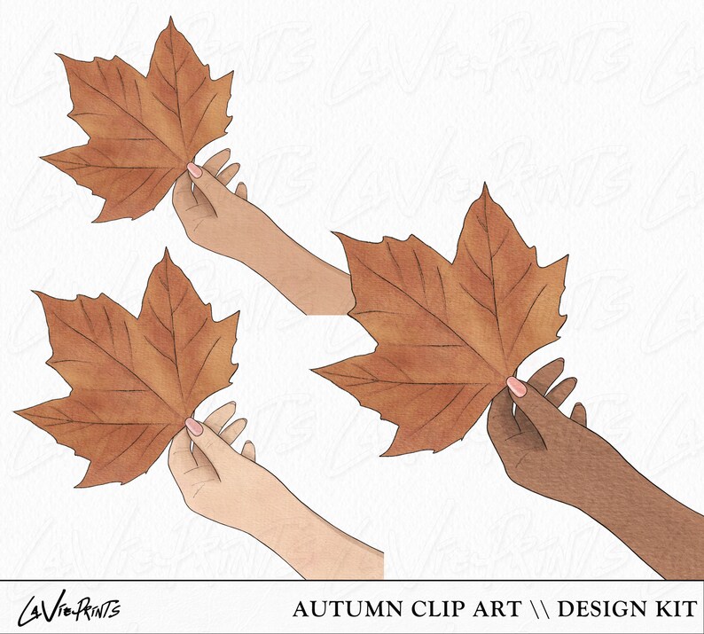 May include: Two hands holding brown maple leaves. The leaves have a watercolor effect and are a light brown color. The hands are both holding the leaves in a similar way, with the fingers curled around the stem.
