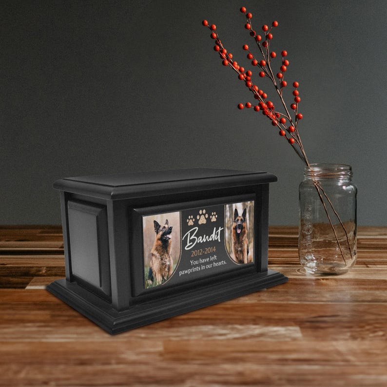 decorative cremation, biodegradable canine, contemporary artisan, remembrance sympathy, bereavement engraved, handcrafted polished, minimalist companion, protective varnished, container receptacle, capacity elegant jar, tailored durable, meaningful natural, printed in USA