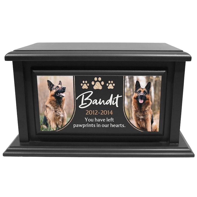 decorative cremation, biodegradable canine, contemporary artisan, remembrance sympathy, bereavement engraved, handcrafted polished, minimalist companion, protective varnished, container receptacle, capacity elegant jar, tailored durable, meaningful natural, printed in USA