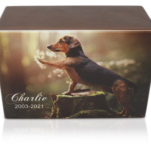 Custom UV-Printed Cremation Urn Box for Animal Ashes, Solid Wood Memorial Keepsake with Personalized Printed Photo Option