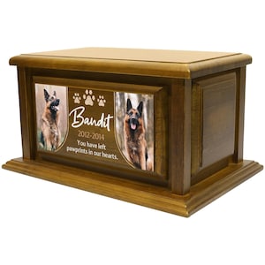 decorative cremation, biodegradable canine, contemporary artisan, remembrance sympathy, bereavement engraved, handcrafted polished, minimalist companion, protective varnished, container receptacle, capacity elegant jar, tailored durable, meaningful natural, printed in USA