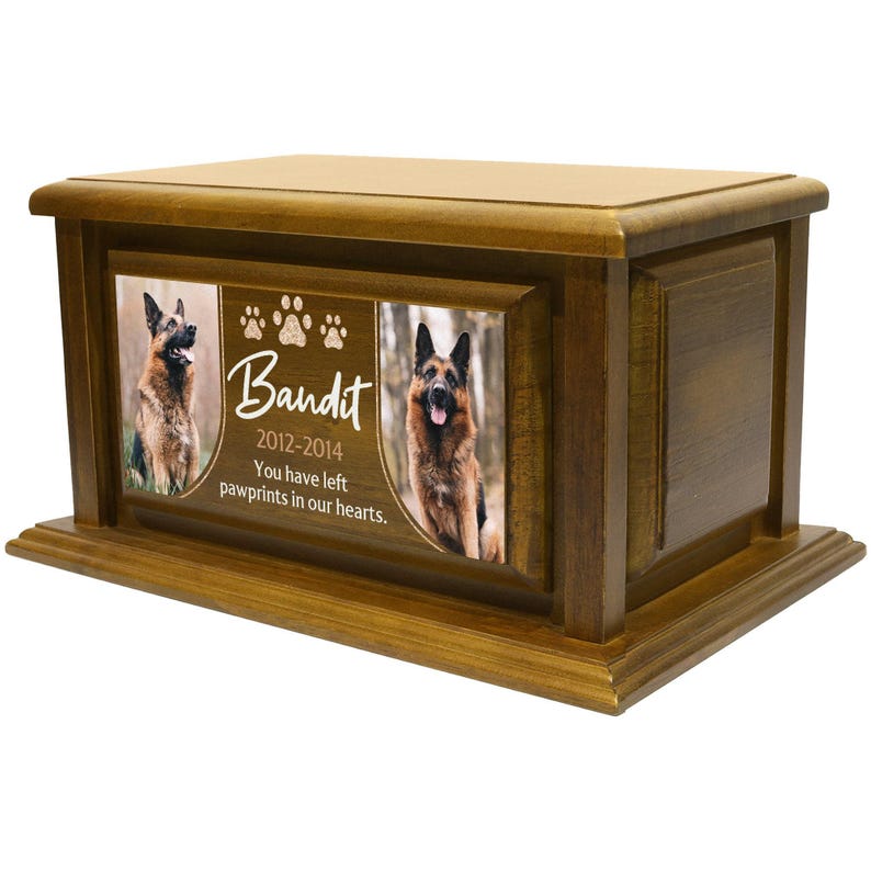 decorative cremation, biodegradable canine, contemporary artisan, remembrance sympathy, bereavement engraved, handcrafted polished, minimalist companion, protective varnished, container receptacle, capacity elegant jar, tailored durable, meaningful natural, printed in USA