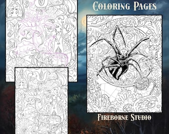 Spider Coloring Page, Digital Art, Advanced Adult Coloring PNG, PDF, JPG Instant Downloan