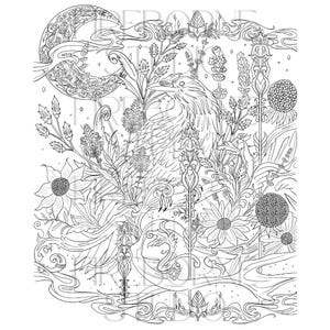 Raven and Floral Moon Coloring Page | Gothic Printable Art | Intricate Adult Coloring Sheet