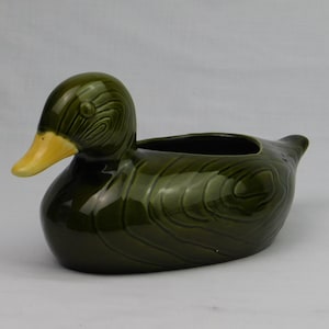 May include: A ceramic duck planter in a glossy, dark green finish. The duck has a yellow beak and a textured surface, with a hollowed-out area for planting. The planter is designed to resemble a duck.