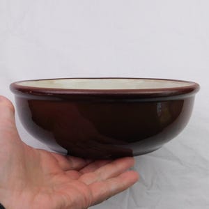 May include: A brown ceramic bowl with a glossy finish. The bowl has a wide rim and a white interior. The bowl is held in a hand. The bowl is likely used for serving or mixing food.