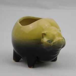 May include: A ceramic planter in the shape of a pig, with a gradient color scheme. The top is a light yellow-green, transitioning to a dark black at the base. The pig has small legs and a detailed face.