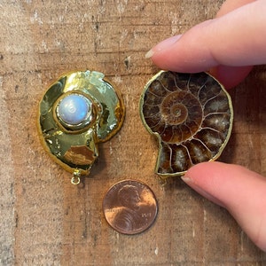 Ammonite Fossil double sided Pendant with gold plating and embedded pearl on the back with top connector loop, 38mm x 28mm, 1 piece