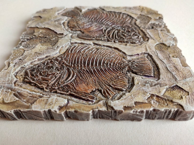 Fossil fish wall decor_3 Etsy