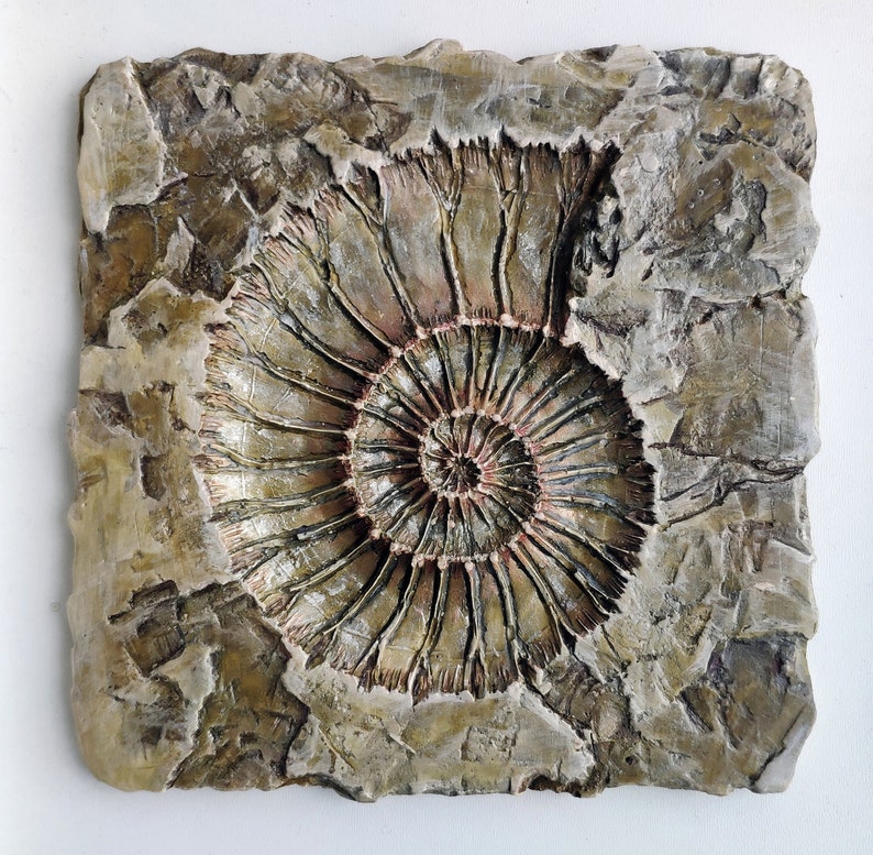 Fossil ammonite 2 wall decor Etsy