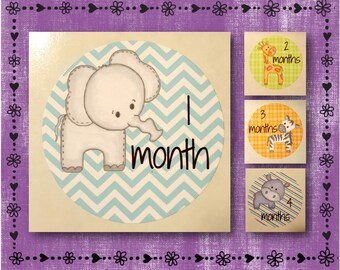 Baby Milestone Monthly Stickers - Baby Animals - Months 1-12 - 2.5" Round Glossy Labels - Picture Prop -Baby Shower Gift