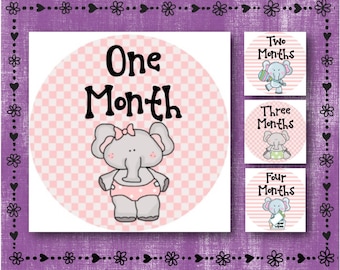 Milestone Monthly Stickers BLUE Baby Elephants Months | Etsy