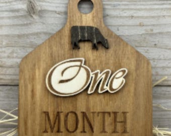 Western Baby Milestone Monthly Marker Rustic Wood Tag Country Infant Photo Prop Newborn Picture Accessory Natural Photography Memory
