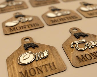 Western Baby Milestone Monthly Marker Rustic Wood Tag Country Infant Photo Prop Newborn Picture Accessory Natural Photography Memory