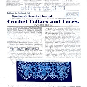 May include: A close-up of a crochet collar pattern, known as the "Delia" collar, featuring a delicate floral design with intricate details. The collar is made with white crochet thread and has a blue background.
