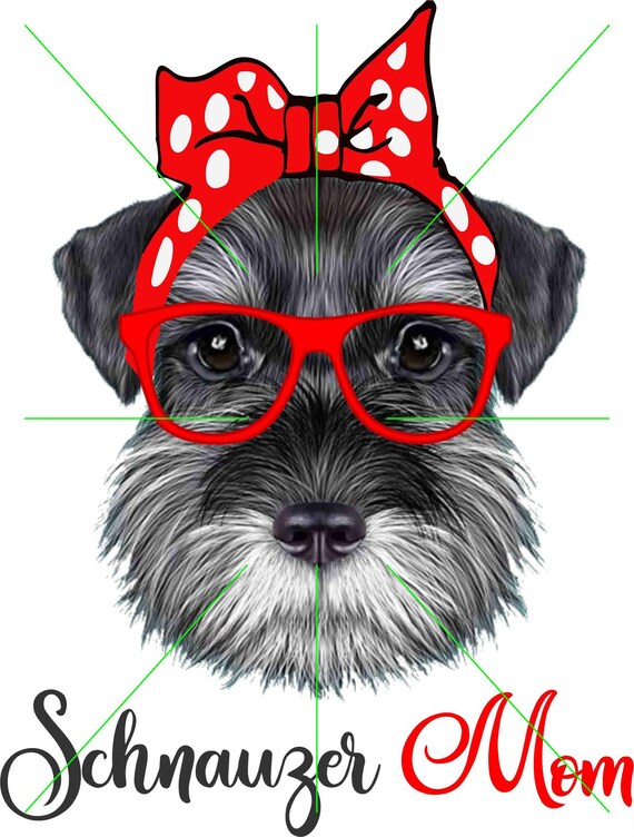 miniature schnauzer mom