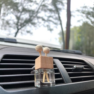 Viral Glass Skull Car Air Freshener Diffuser