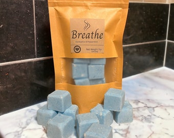 Homemade Aromatherapy Shower Steamers | Eucalyptus Peppermint Shower Fizzies (Set of 8)
