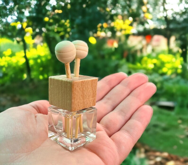 A compact car vent diffuser held in a hand against a natural background. Features a wooden lid, glass bottle, and wooden diffuser reeds for long-lasting fragrance.