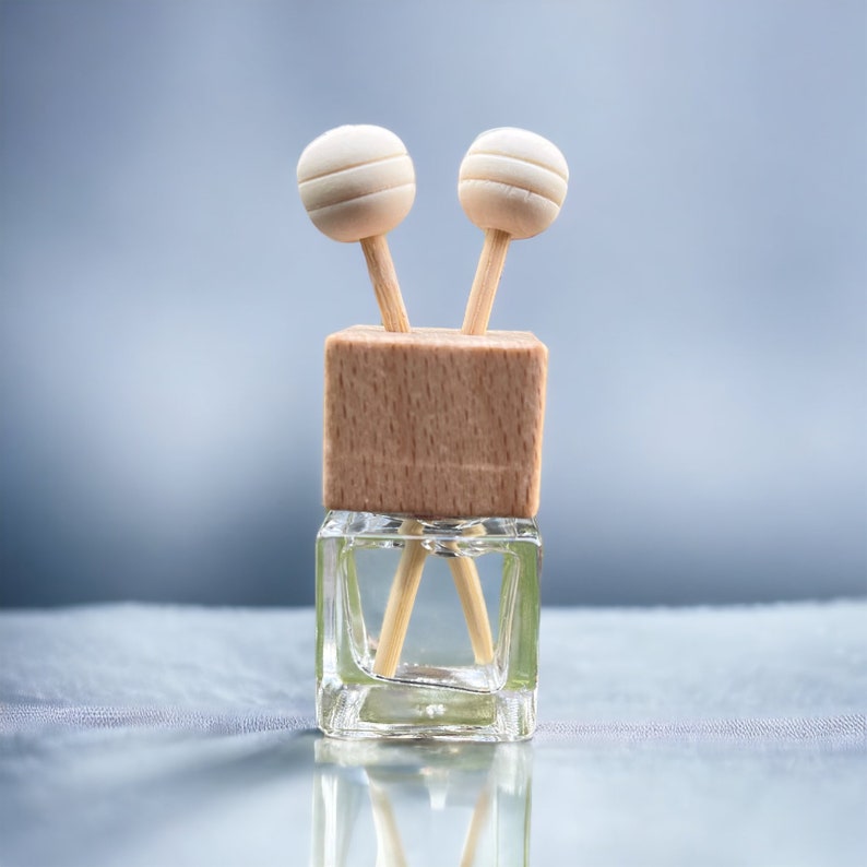 A minimalist car vent diffuser featuring a wooden top, clear glass bottle, and reed sticks, providing a sleek and modern design for car fragrance.