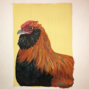Appenzeller Barthuhner Rooster