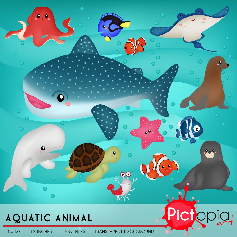 Aquatic Animal Clipart underwater clip art animal png fish Etsy