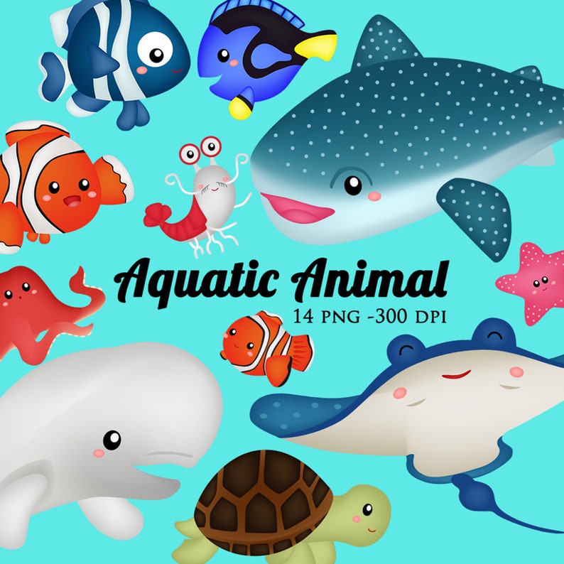 Aquatic animal Clipart Sea animal Clip Art Fish and | Etsy