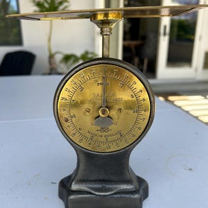 Salter Weighing Scales - Etsy