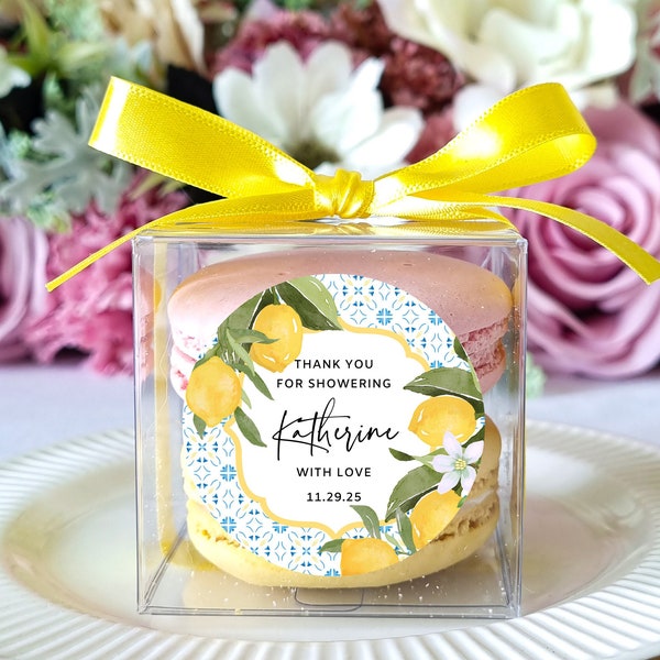 10 Sets of meditteranean lemon bridal shower favor macaron box packaging