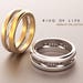 DNA Ring, Geek Wedding Ring, Platinum Wedding Ring, Microbiology ...