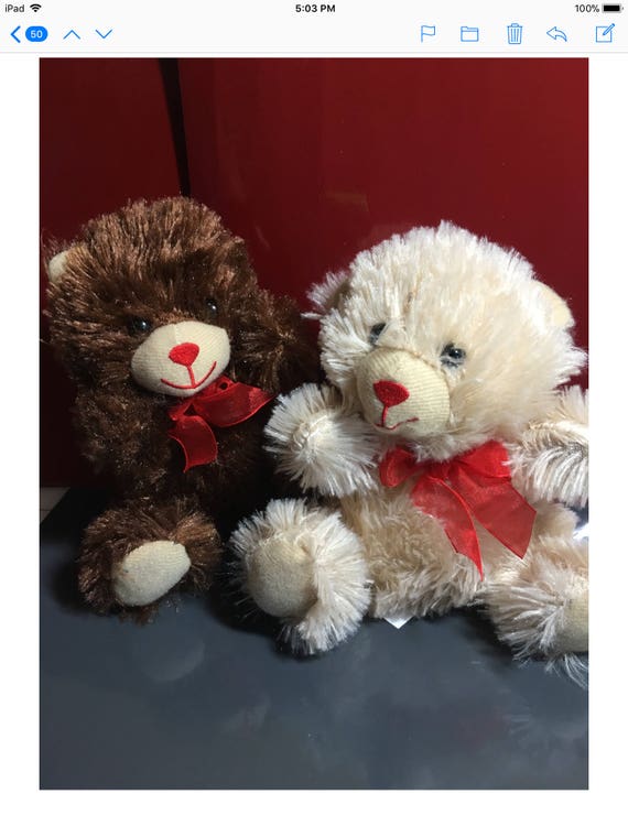 personalized valentine teddy bear