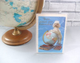 Vintage Raphael Tuck & Sons Greetings Card 'You've Passed Your Examination!' Graduation Original Sealed Packaging Kitsch Dog Collectable