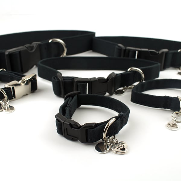Dog Collar Matching Bracelet Etsy
